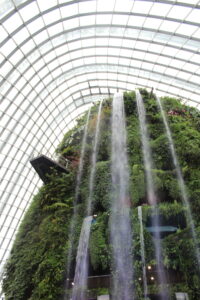 Singapore cloud forest gardens by the bay