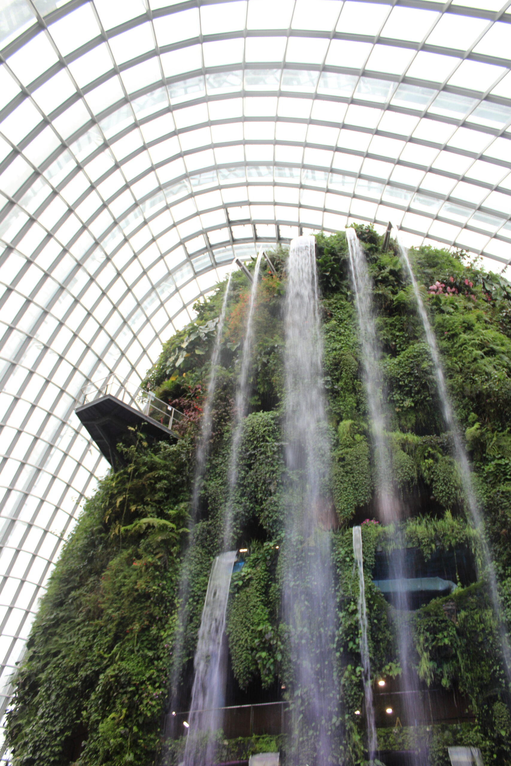 CLOUD FOREST – SINGAPORE