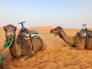 Reisblog afrika