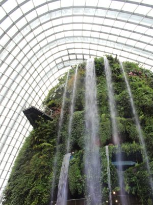 CLOUD FOREST – SINGAPORE